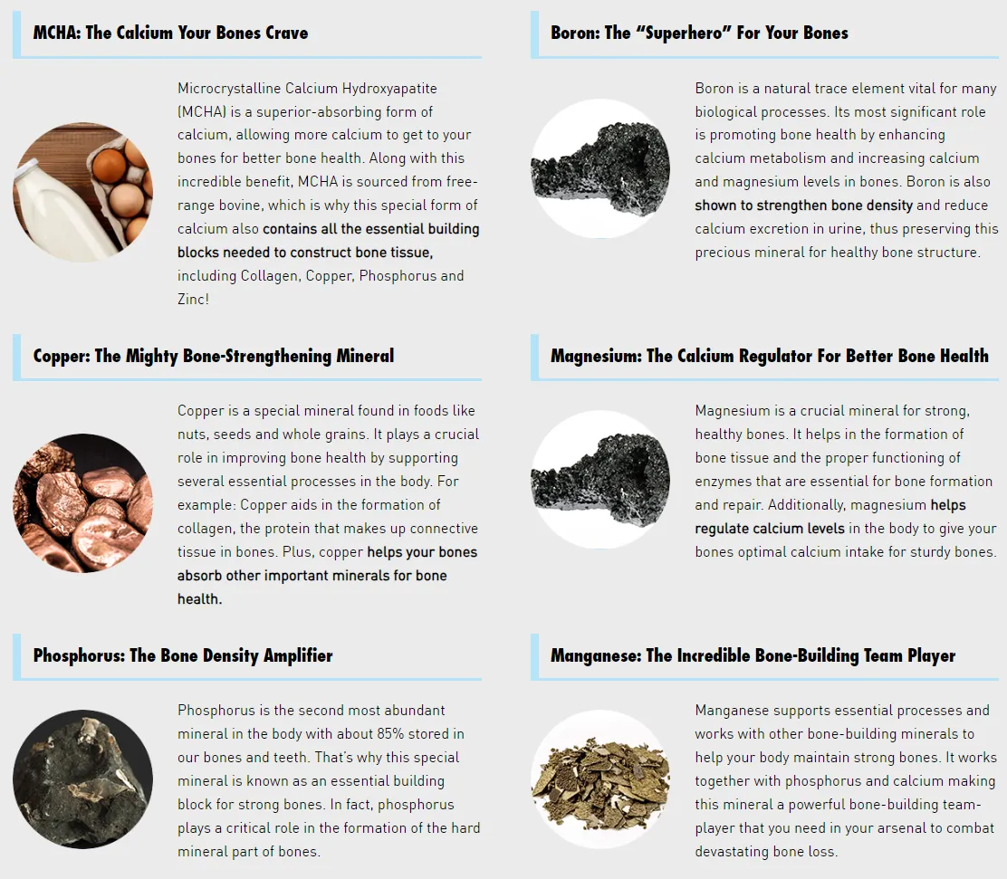 PrimeGenix Bone Complex - ingredients