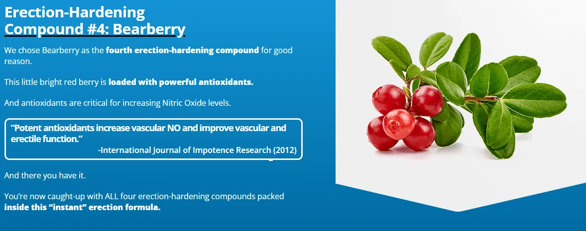 Erectin Stimulating Gel: Experience Peak Performance - 11 Reasons to Try It 7 erectin_gel_erection_hardening_compound_bearberry