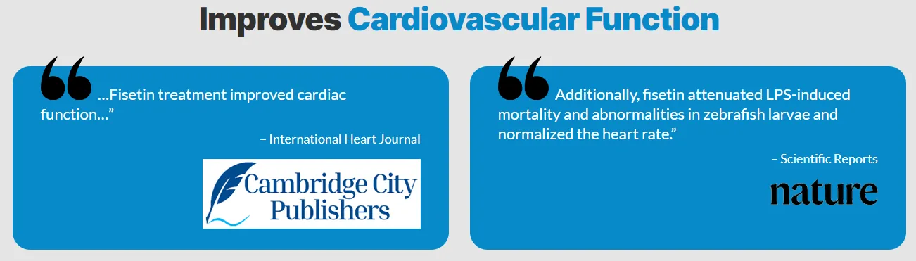 fisetin-improves-cardiovascular-function