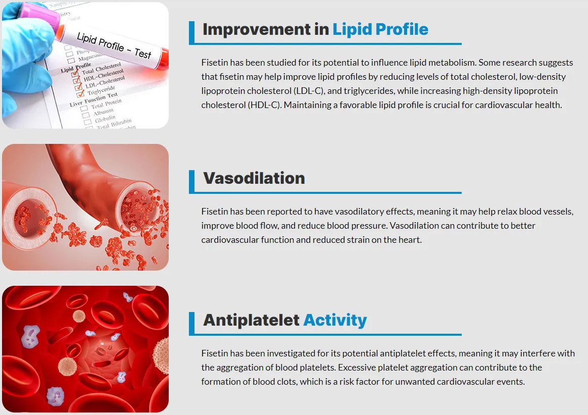 fisetin-lipid-profile-vasodilation-antiplatelet-activity