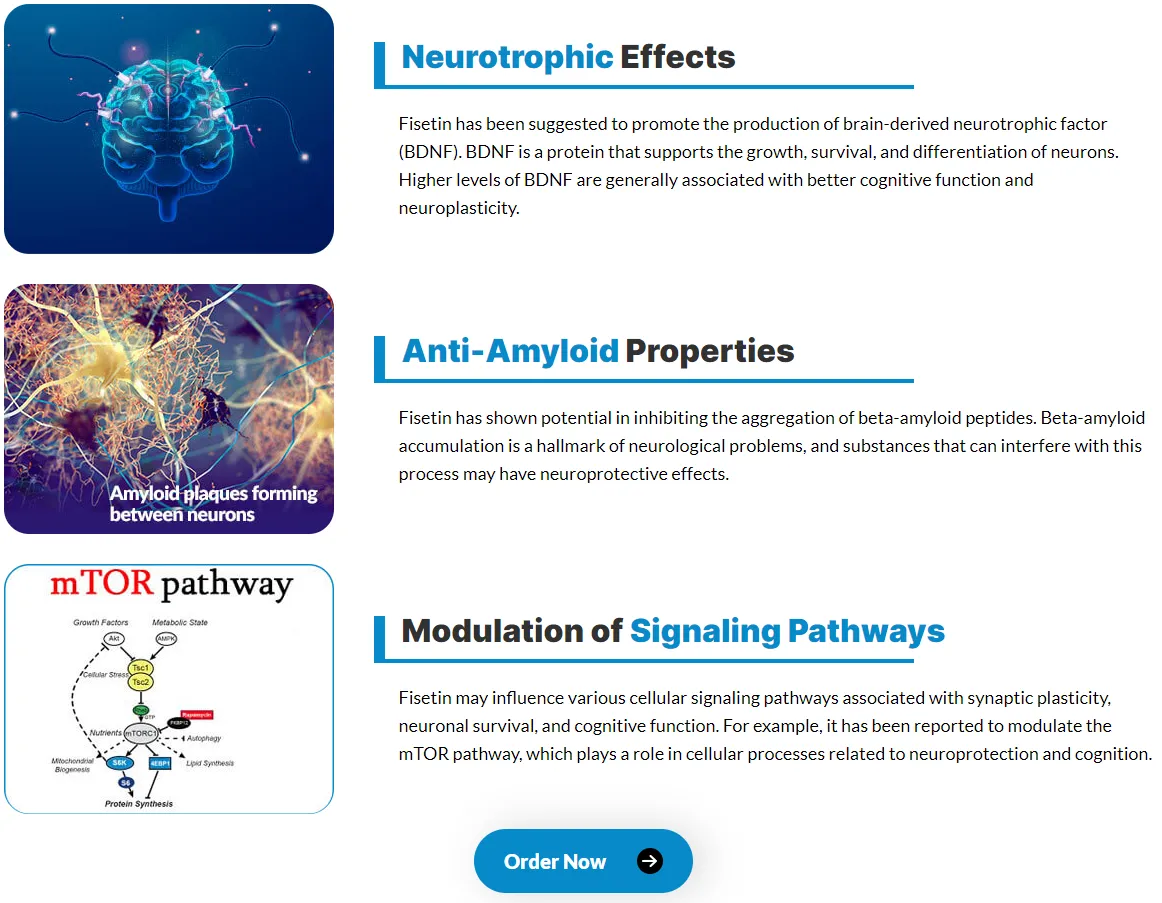 fisetin-neurotrophic-effects-anti-amyloid-properties-signaling-pathways-order-now