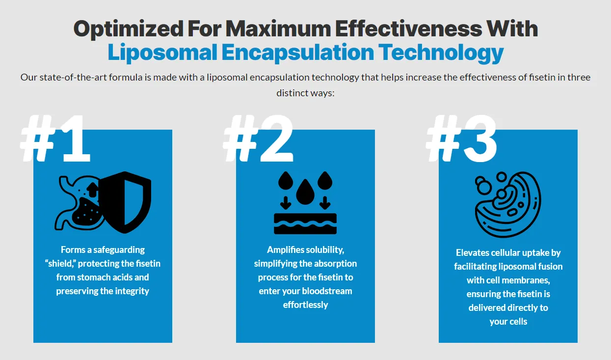 fisetin-optimized-for-maximum-effectiveness-with-liposomal-encapsulation-technology