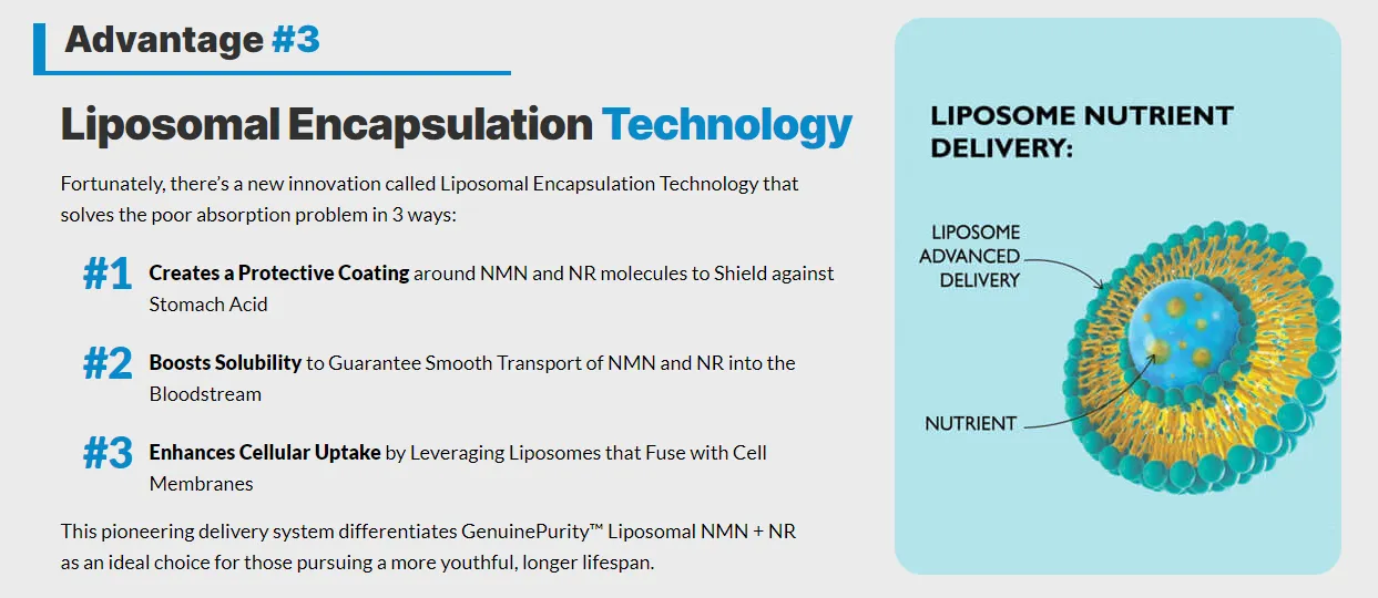 nicotinamide-mononucleotide-nmn-nicotinamide-riboside-nr-advantage3-liposomal-encapsulation-technology