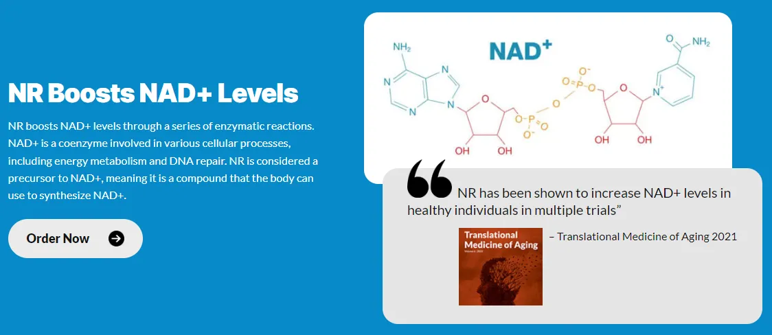 nicotinamide-riboside-nr-nr-boosts-NAD+-levels