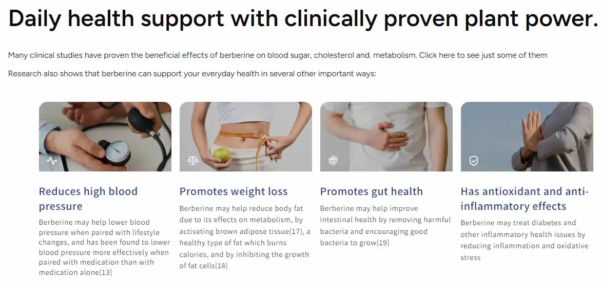 BerbaPrime Harnesses 14 Powerful Benefits to Elevate Your Health and Vitality 3 BerbaPrime-daily-health-support-with-clinically-proven-plant-power
