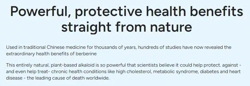BerbaPrime Harnesses 14 Powerful Benefits to Elevate Your Health and Vitality 8 BerbaPrime-powerful-protective-health-benefits-straight-from-nature