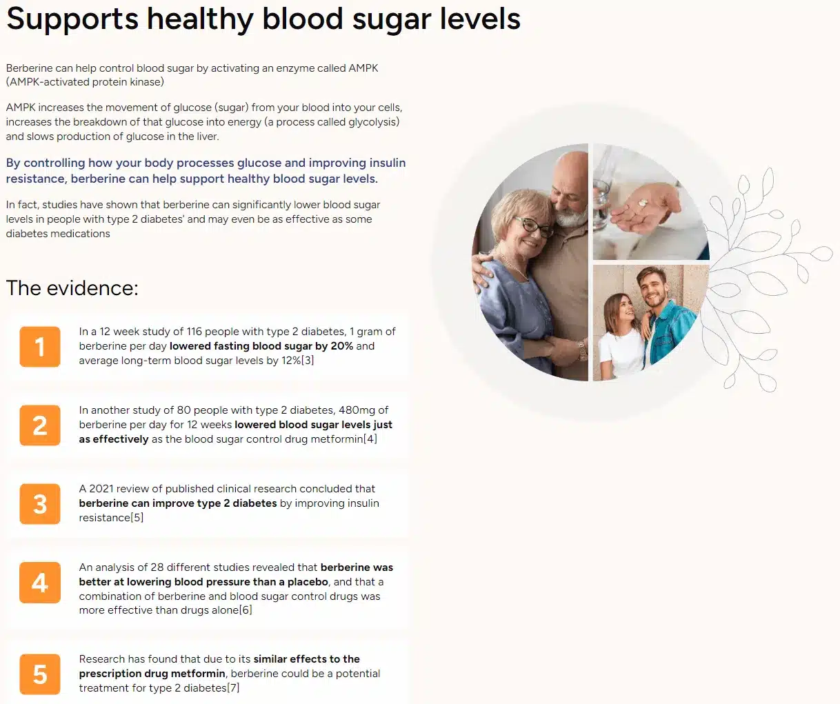 BerbaPrime Harnesses 14 Powerful Benefits to Elevate Your Health and Vitality 4 BerbaPrime-supports-healthy-blood-sugar-levels