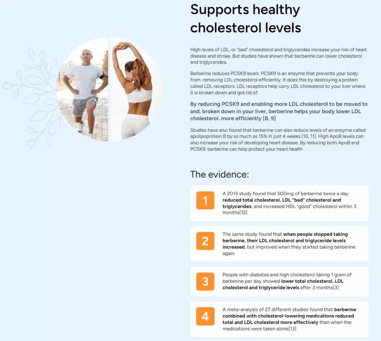 BerbaPrime Harnesses 14 Powerful Benefits to Elevate Your Health and Vitality 6 BerbaPrime-supports-healthy-cholesterol-levels