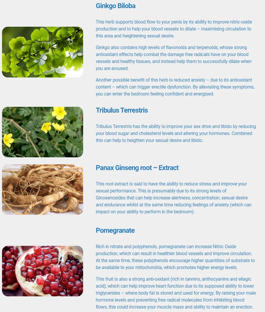 Viasil: Boost Your Vitality with These 12 Remarkable Benefits 5 Viasil-ingredients-ginkgo-biloba-tribulus-terrestris-panax-ginseng-root-extract-pomegranate