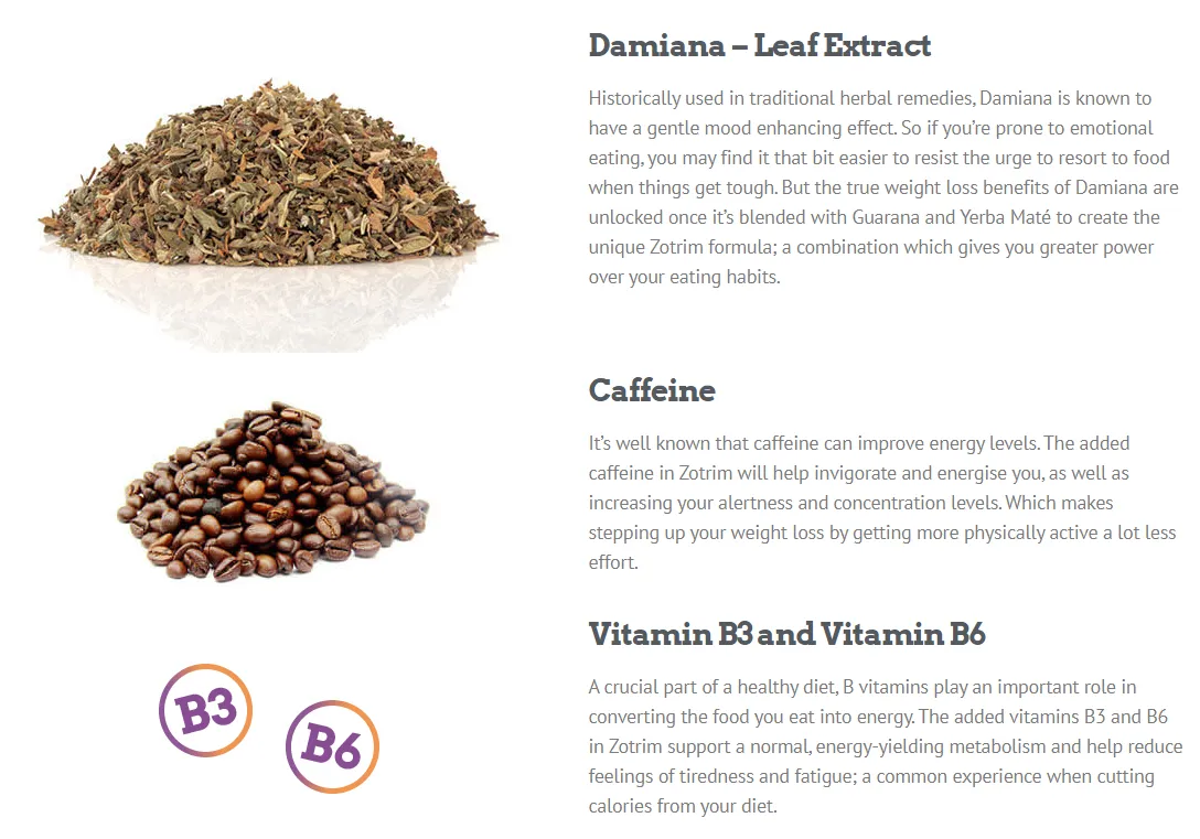 Zotrim-ingredients-damiana-leaf-extract-caffeine-vitamin-b3-vitamin-b6