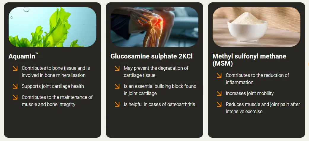 flexomore ingredients aquamin glucosamine sulphate 2kcl methyl sulfonyl methane