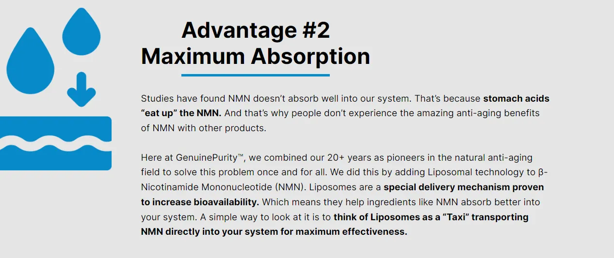 liposomal-nmn-advantage2-maximum-absorption
