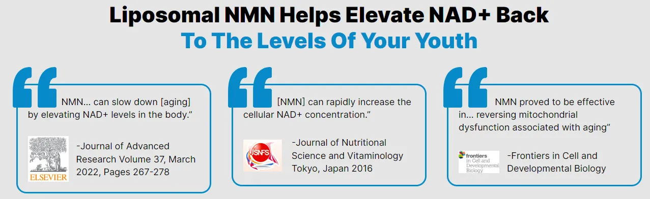liposomal-nmn-helps-elevate-nad+-back