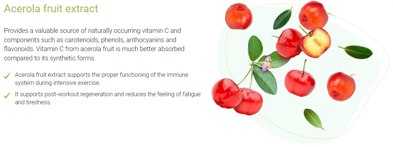 matcha extreme ingredients acerola fruit