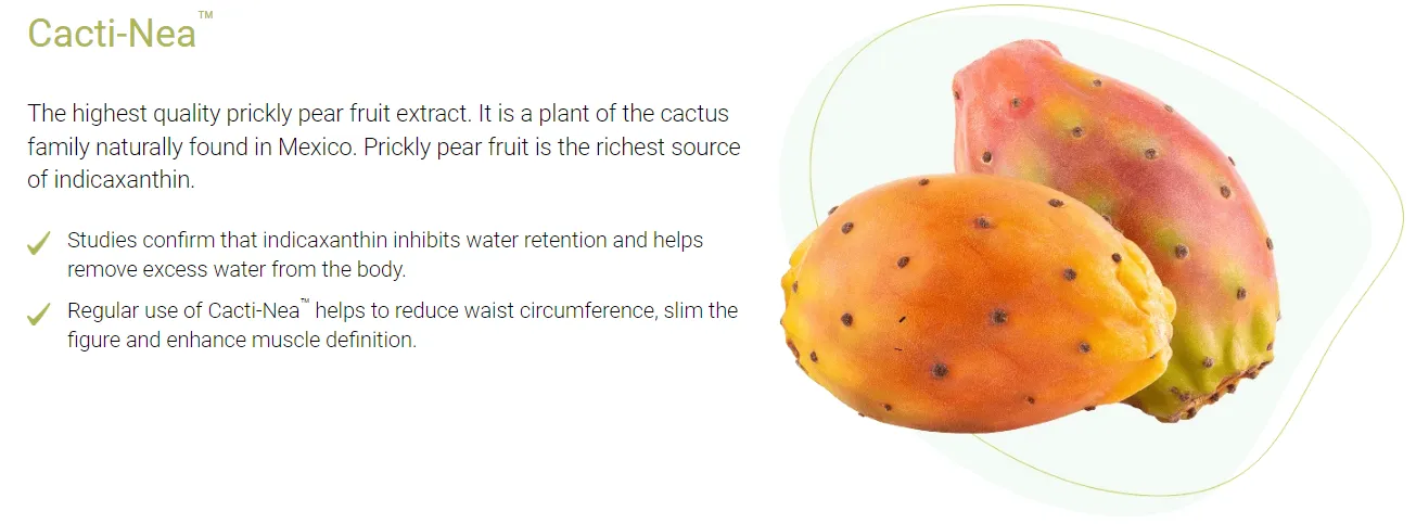 matcha extreme ingredients cacti nea