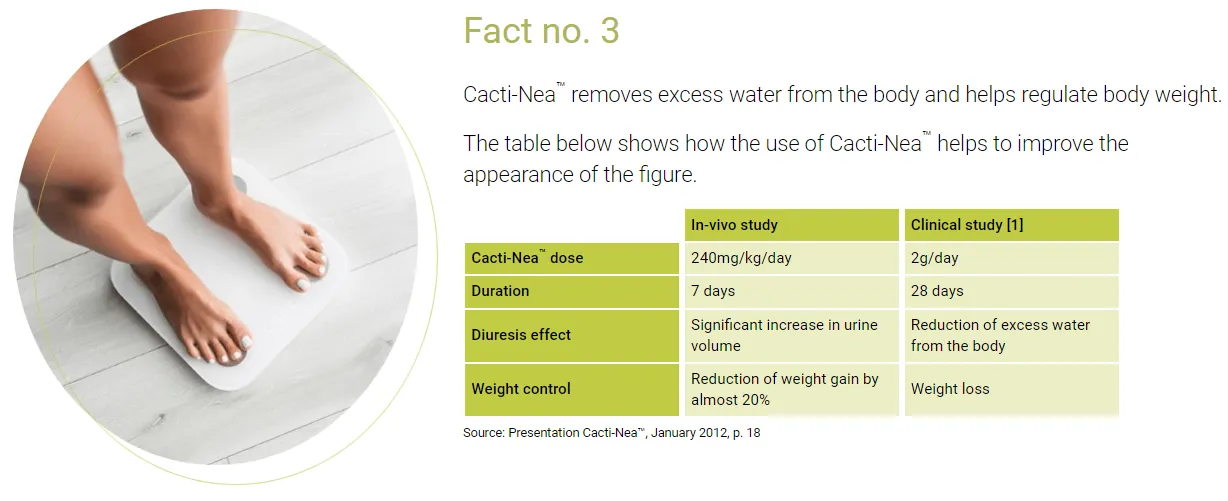 matcha extreme ingredients facts 3 cacti new removes excess water from the body and helps regulate body weight