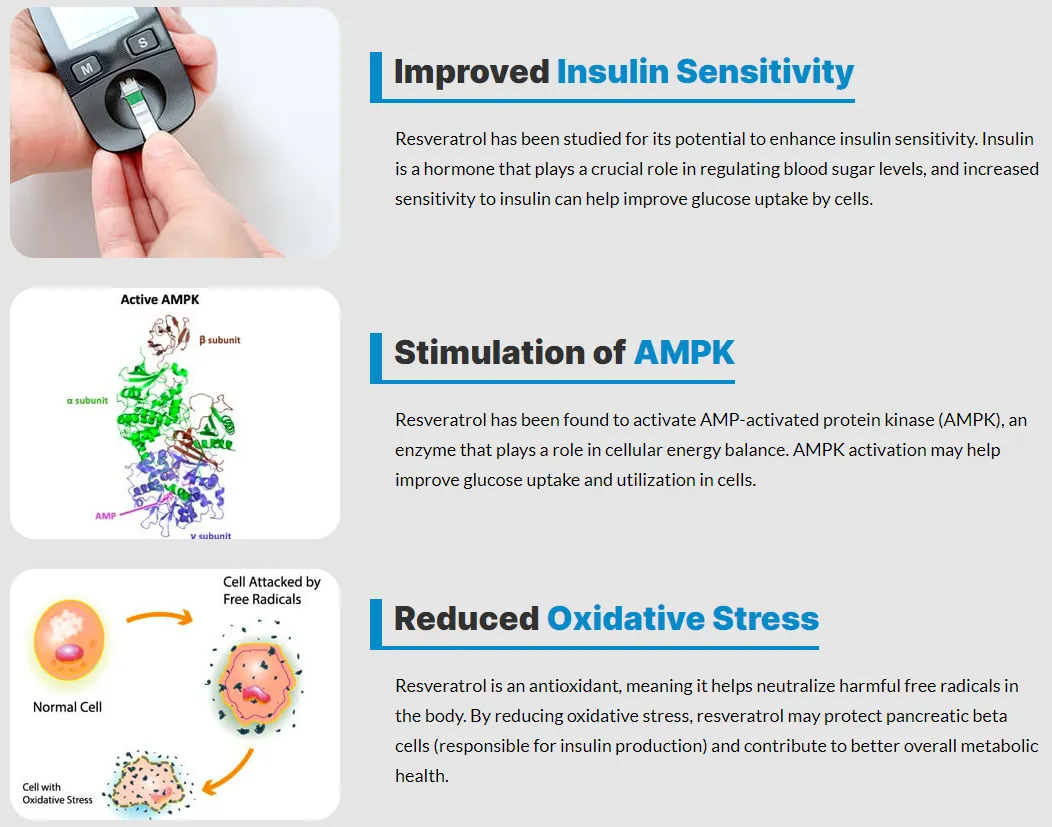 trans-resveratrol-benefits-improved-insulin-sensitivity-stimulation-of-ampk-reduced-oxidative-stress