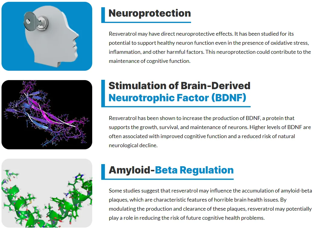 trans-resveratrol-neuroprotection-stimulate-brain-derived-neurotrophic-factor-bdnf-amyloid-beta-regulation