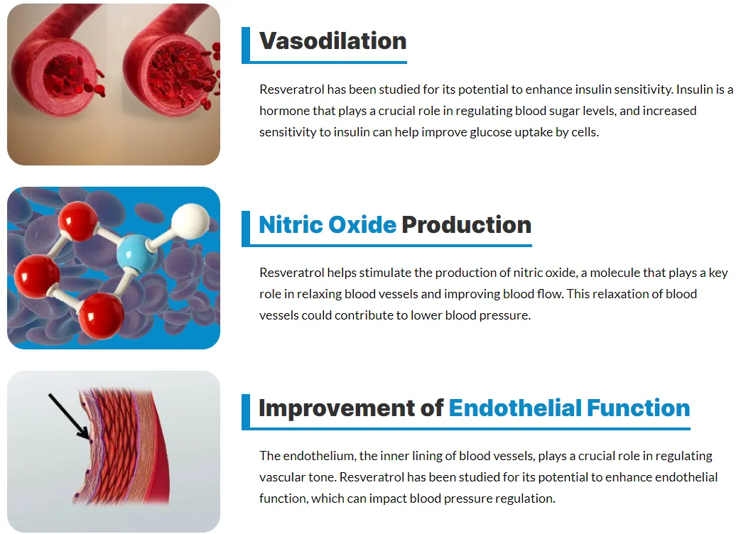 trans-resveratrol-vasodilation-nitric-oxide-production-endothelial-function