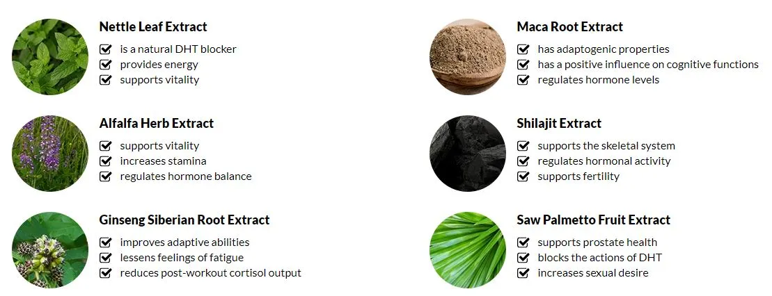 Bulk Extreme ingredients 1