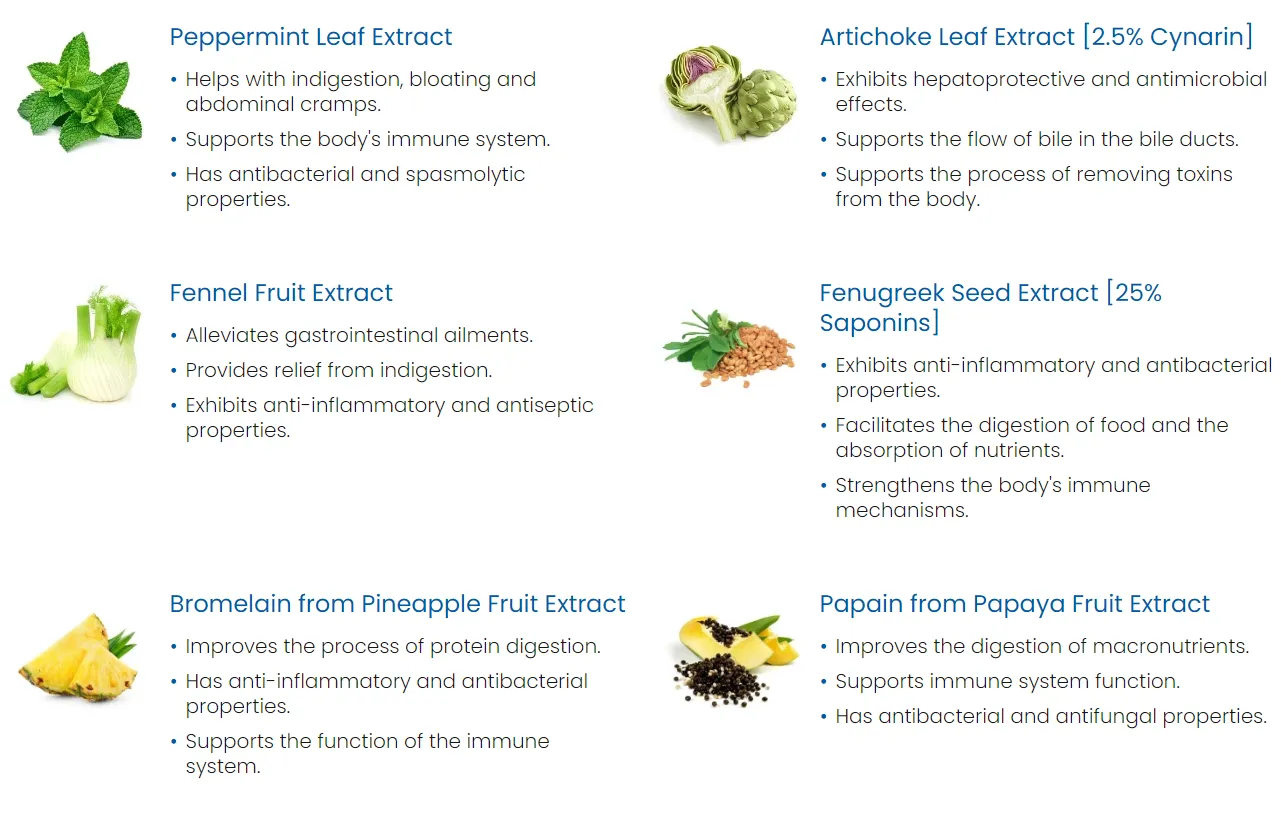 Dentolan ingredients peppermint leaf extract artichoke leaf extract fennel fruit extract fenugreek seed extract bromelain papain