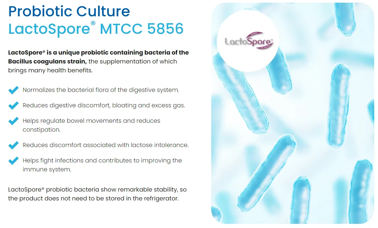 Dentolan probiotic culture lactospore mtcc 5856