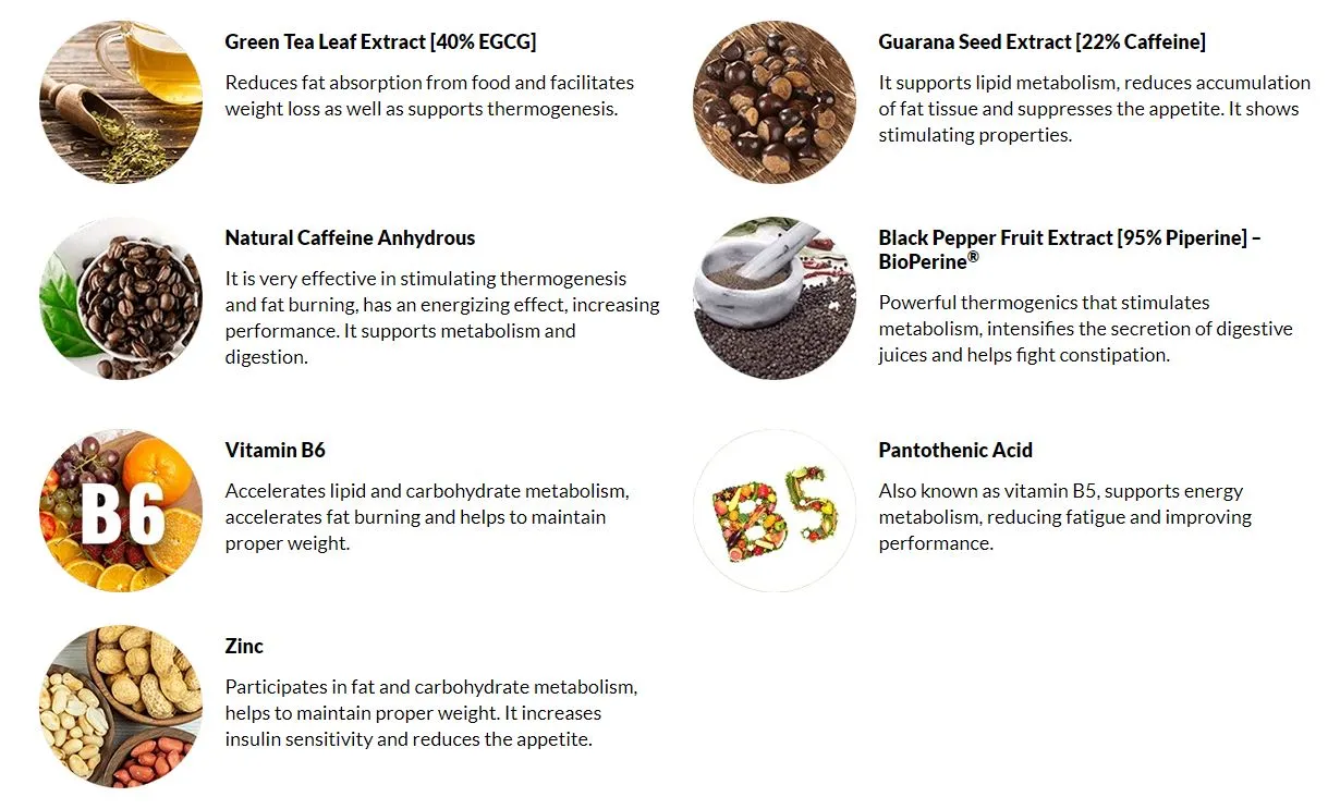 Fat Burn Active ingredients 2