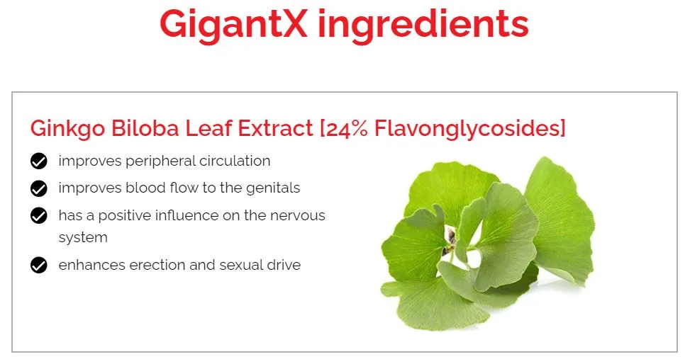 GigantX ingredients Ginkgo Biloba Leaf