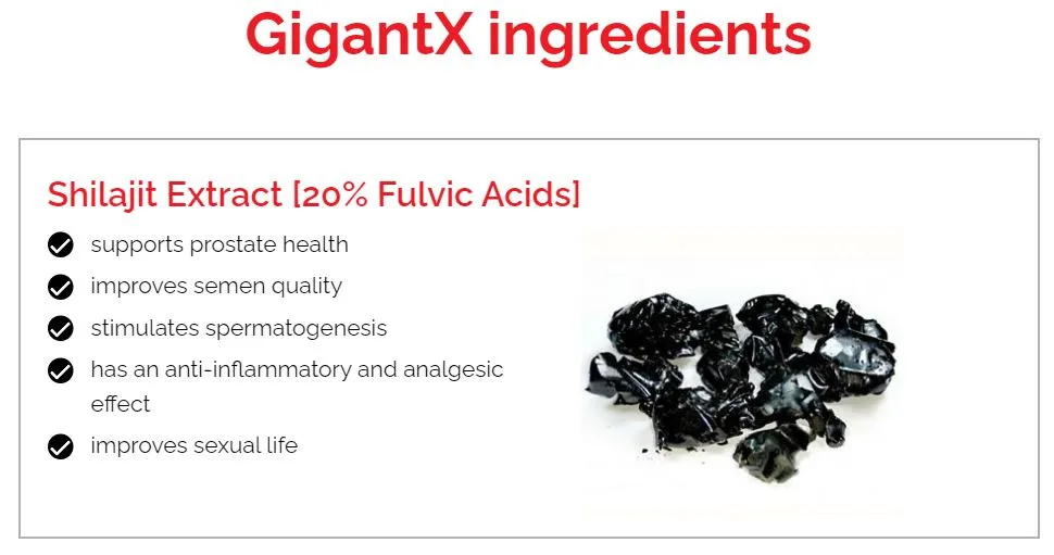 GigantX ingredients Shilajit
