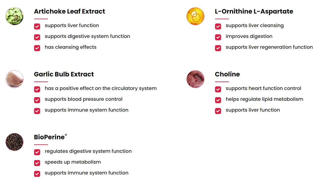 Lipid Control Plus ingredients artichoke leaf l ornithine l aspartate garlic bulb choline bioperine