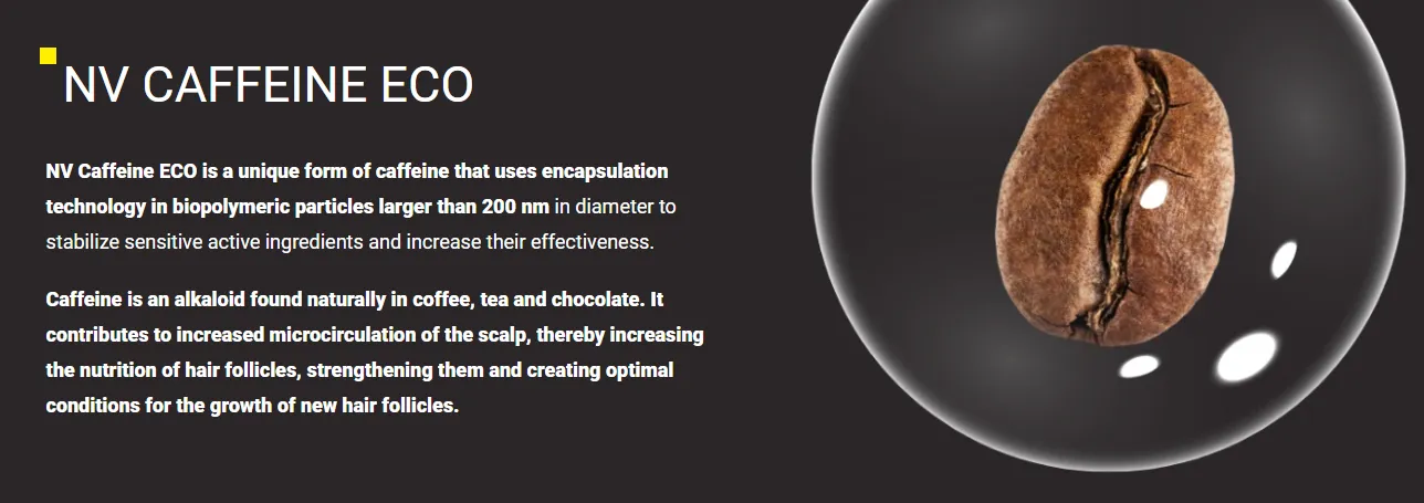 Folicerin: 14 Unique Advantages for Superior Hair Health 3 folicerin ingredients nv caffeine eco