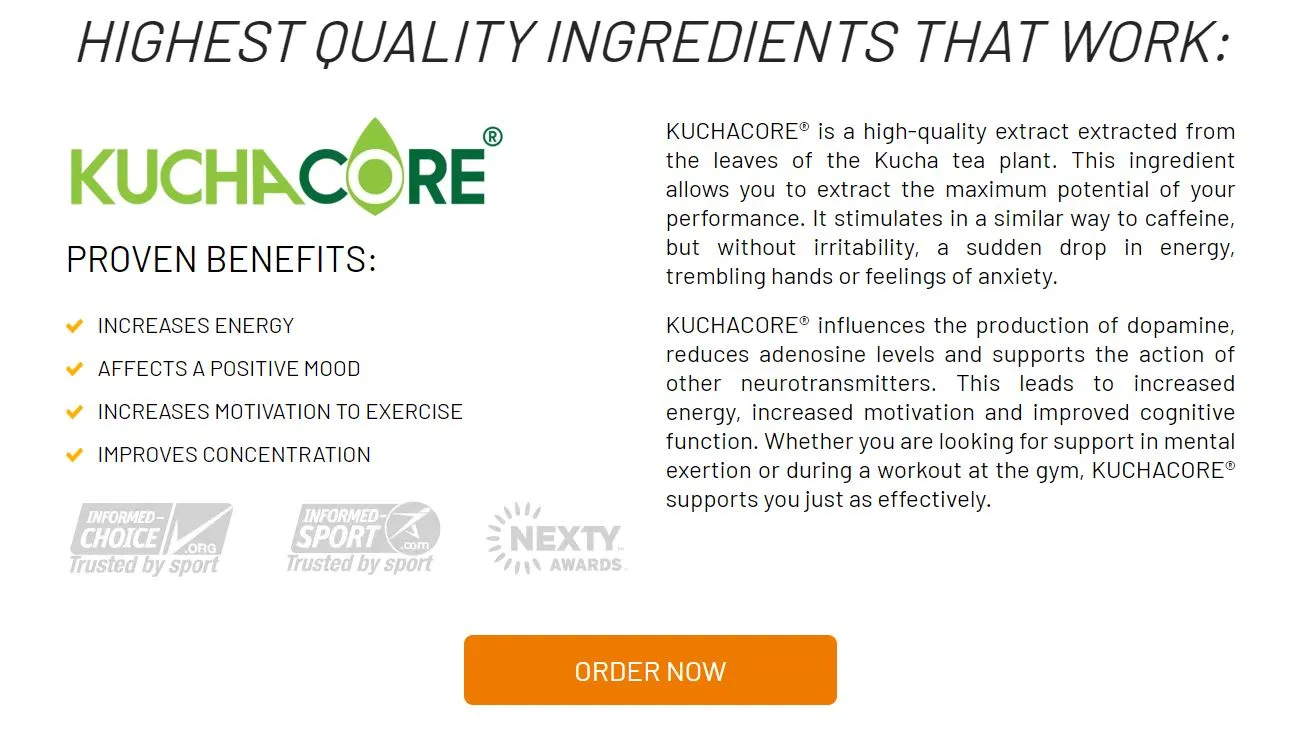 Brain Actives ingredients kuchacore extract from Kucha Tea plant