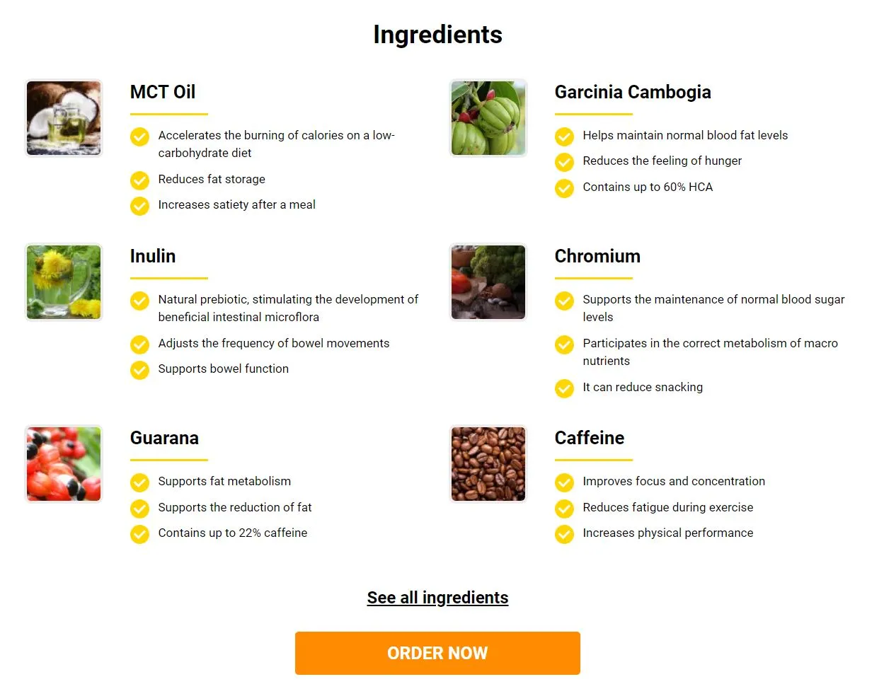 Cappuccino MCT ingredients MCT oil garcinia cambogia inulin chromium guarana caffeine