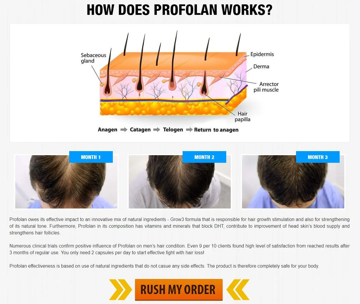 Profolan how does it works step by step